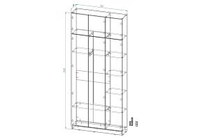 Шкаф распашной Интарс 3А (1100х2500х300)